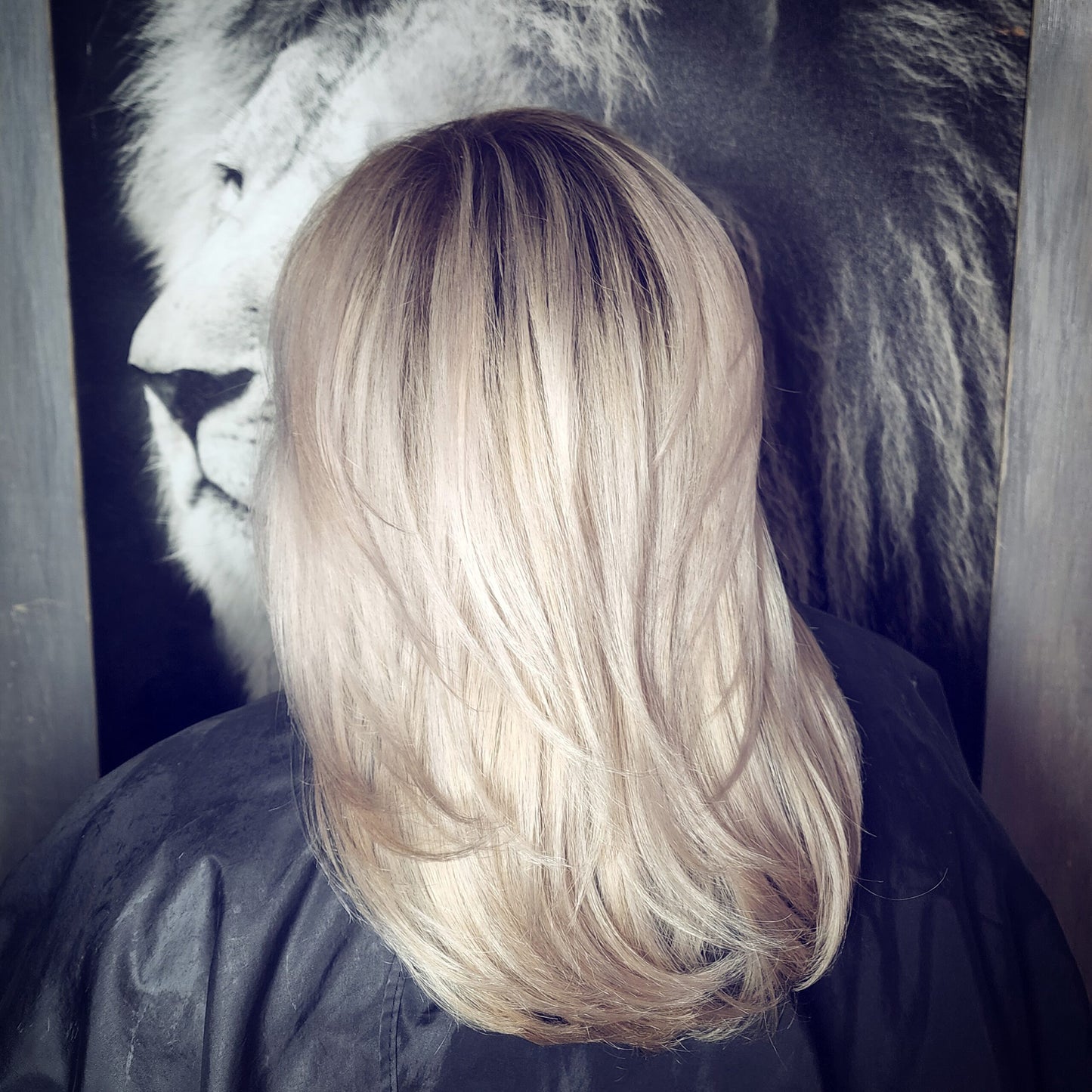 Hair Color